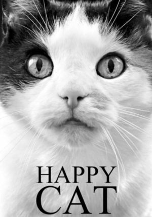 Happy Cat - Het dagboek van een blije kat - 9789464051889