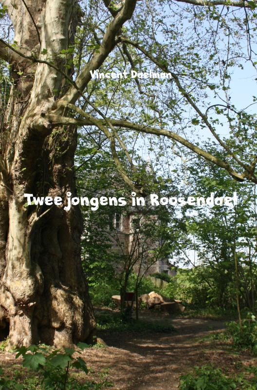 Twee jongens in Roosendael - 9789402120875