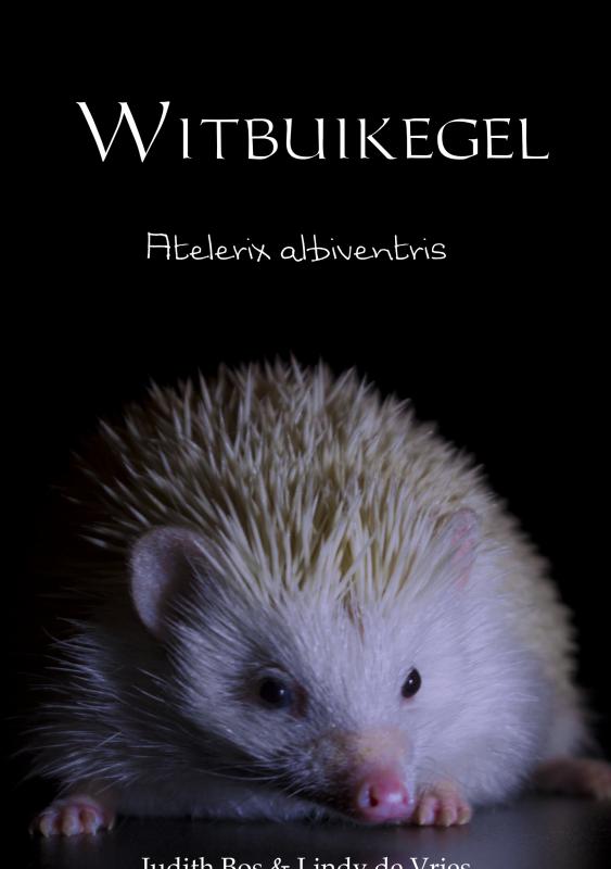 Witbuikegel - 9789402191080