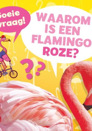 Waarom is een flamingo roze? - 9789086649211