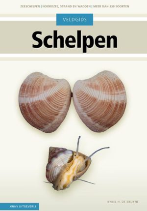 Veldgids Schelpen - 9789050119023