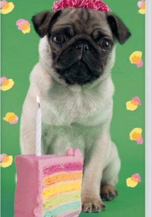 Verjaardagskalender Rachael Hale - Hond - 9789464326161