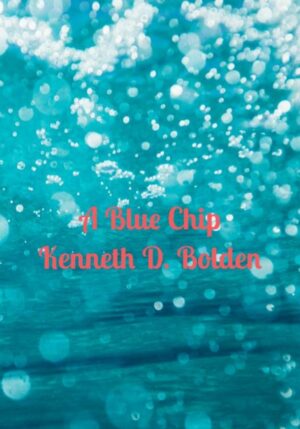 A Blue Chip Kenneth D. Bolden - 9789464851014