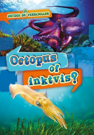 Octopus of inktvis? - 9789464392081
