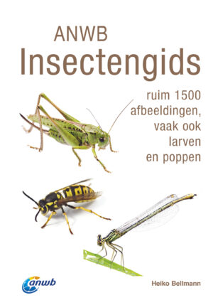 ANWB Insectengids - 9789043928786