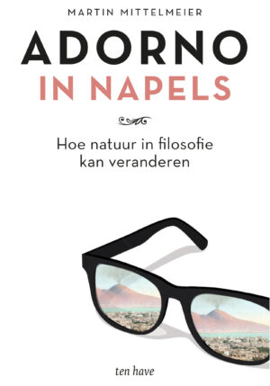Adorno in Napels - 9789025908676