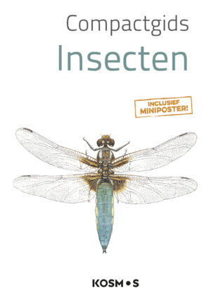 Compactgids Insecten - 9789021578934