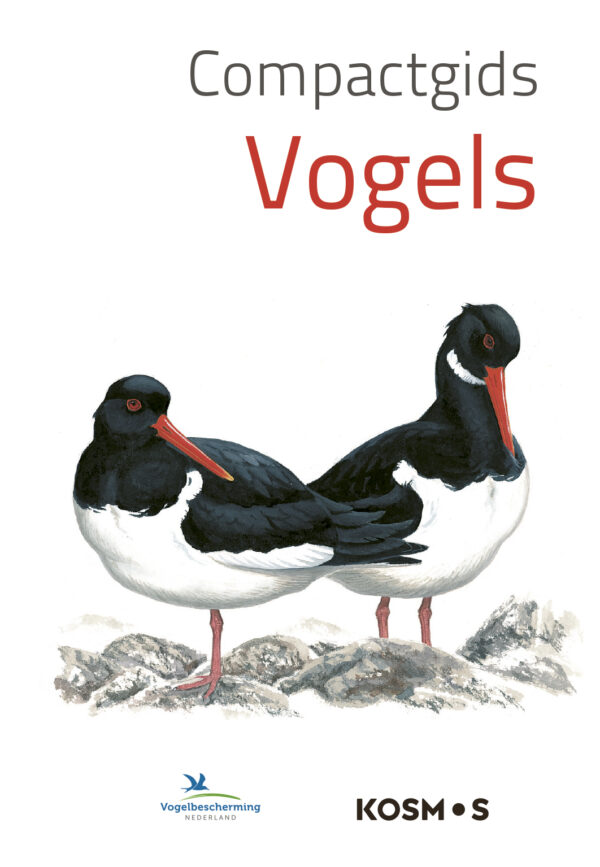 Compactgids Vogels - 9789043927833