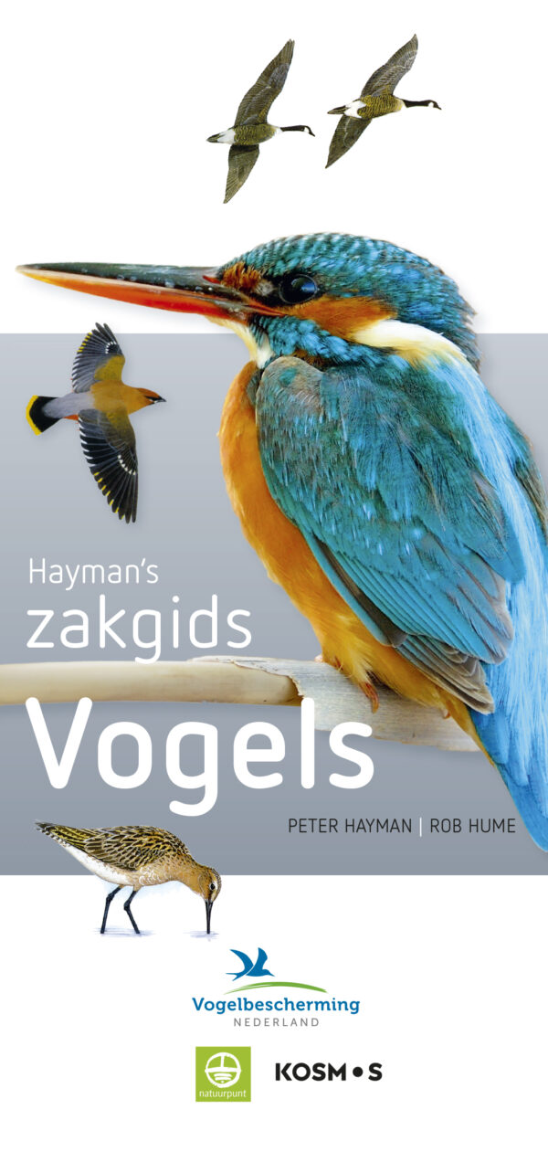 Hayman's Zakgids Vogels - 9789021575353