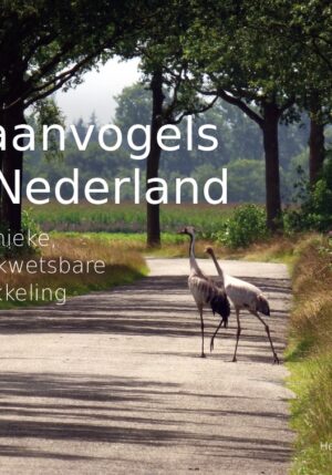 Kraanvogels in Nederland - 9789023258872