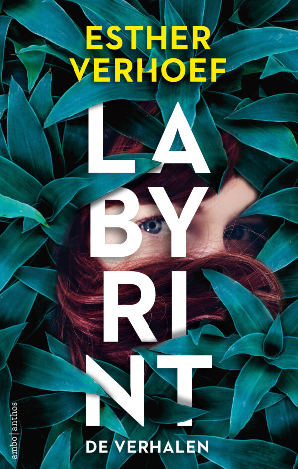 Labyrint - De verhalen - 9789026355332