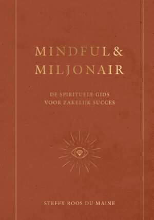 Mindful & Miljonair - 9789000379088