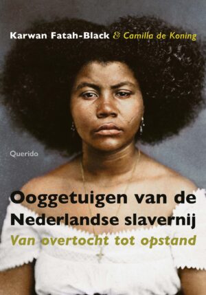 Ooggetuigen van de Nederlandse slavernij - 9789021425467