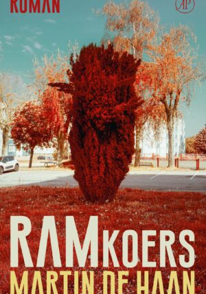 Ramkoers - 9789029543316