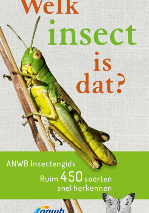 Welk insect is dat? ANWB Insectengids - 9789021572611