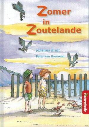 Zomer in Zoutelande - 9789043704908