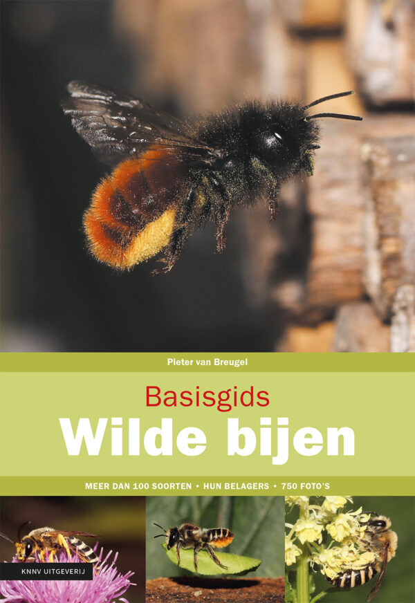 Basisgids wilde bijen - 9789050117920