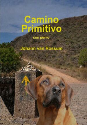Camino Primitivo - 9789402196290