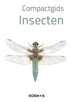 Compactgids Insecten - 9789043927789