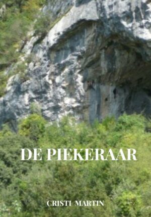 De Piekeraar - 9789402140200
