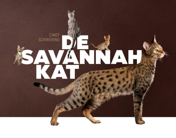 De Savannah kat - 9789081133050