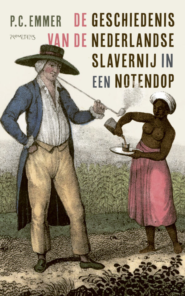 De geschiedenis van de Nederlandse slavernij in een notendop - 9789044648508