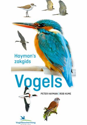 Hayman's Zakgids Vogels - 9789043925396