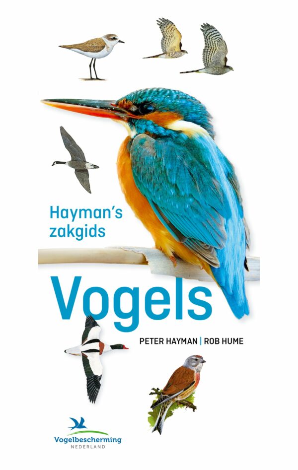 Hayman's Zakgids Vogels - 9789043925396