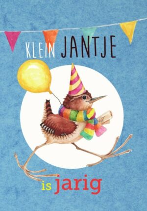 Klein Jantje is jarig - 9789090334509