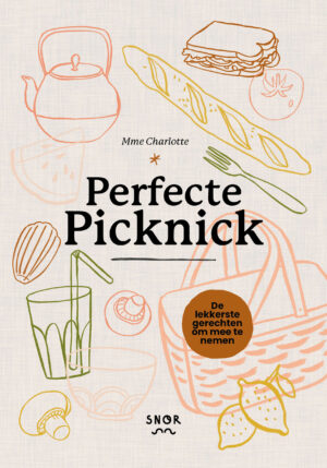 Perfecte picknick - 9789463141345