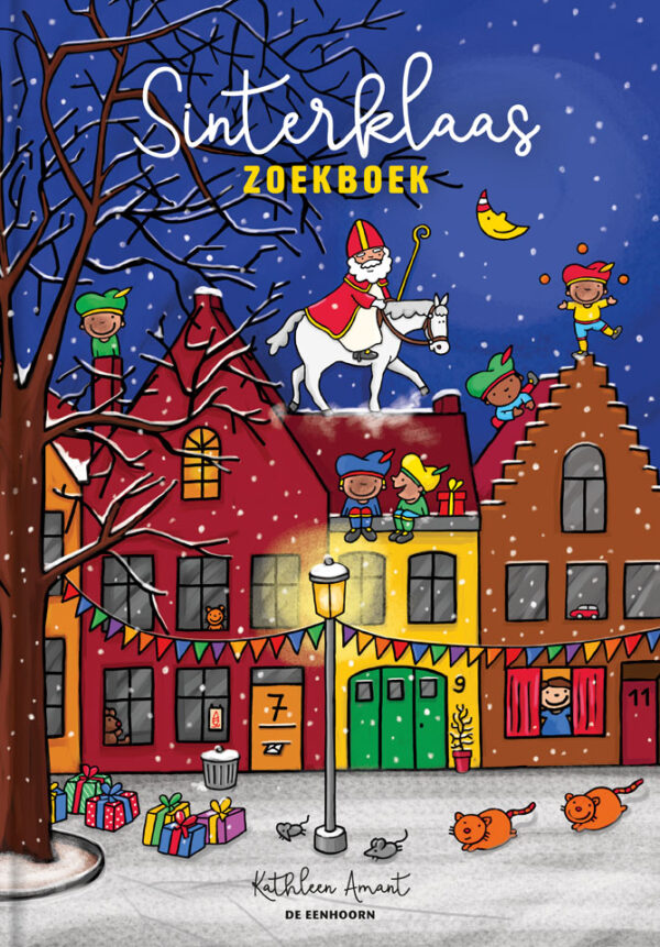 Sinterklaas zoekboek - 9789462915961
