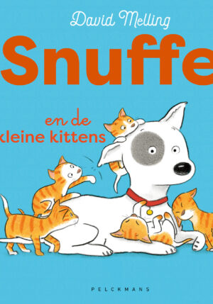Snuffel en de kleine kittens - 9789464291346