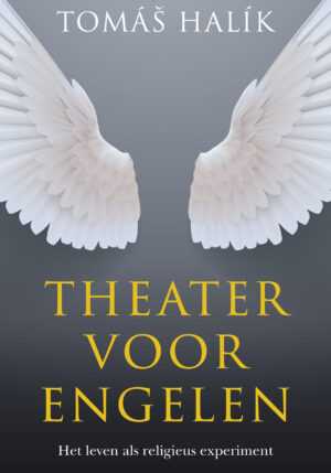Theater voor engelen - 9789043536431