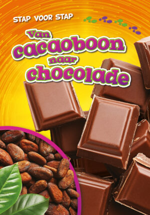 Van cacaoboon naar chocola - 9789086648979