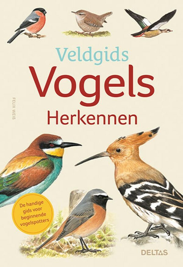 Veldgids - Vogels herkennen - 9789044762433