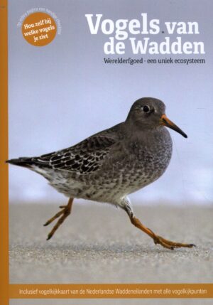 Vogels van de Wadden - 9789061095644