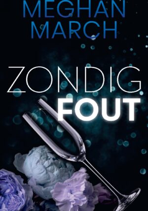 Zondig fout - 9789464404296