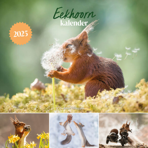 Eekhoorn kalender 2025 - 9789043931748