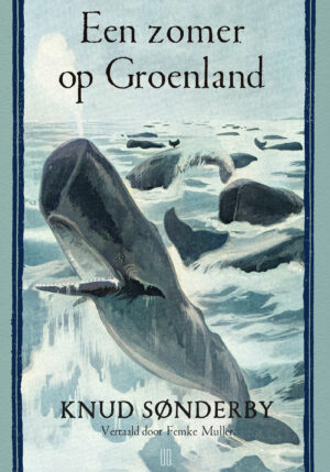Een zomer op Groenland - 9789493367081